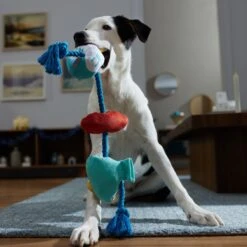 Frisco Hanukkah Celebration Plush With Rope Squeaky Dog Toy -Frisco 360986 PT3. AC SS1800 V1661874063