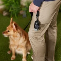 Frisco Dog Poop Bag Dispenser, 15 Count -Frisco 363846 PT5. AC SS1800 V1669100746