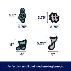 Frisco Valentine Love Song Record Player Hide & Seek Puzzle Plush Squeaky Dog Toy -Frisco 371087 PT2. AC SS1800 V1701364927