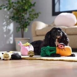 Frisco Spring Plush & Rope Variety Pack Squeaky Dog Toy -Frisco 541526 PT4. AC SS1800 V1702500565