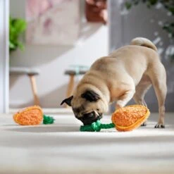 Frisco Easter Carrot Plush With Rope Squeaky Dog Toy 10 Frisco Easter Carrot Plush With Rope Squeaky Dog Toy -Frisco 550486 PT4. AC SS1800 V1702500565