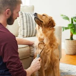 TropiClean Lime & Cocoa Butter Deshedding Dog Conditioner & Frisco Shedding Blade Dog Brush, One Size -Frisco 575070 PT8. AC SS1800 V1657660395