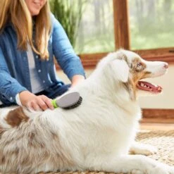 TropiClean Luxury 2 In 1 Papaya & Coconut Pet Shampoo & Conditioner & Frisco Cat & Dog Bristle Brush -Frisco 575094 PT7. AC SS1800 V1657660395