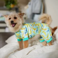 Frisco Go Bananas Dog & Cat Jersey PJs -Frisco 608998 PT6. AC SS1800 V1676642341