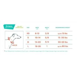 Frisco Top Grain Leather Leash + 4 Items -Frisco 630958 PT6. AC SS1800 V1662739468