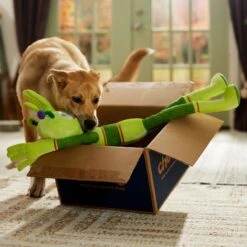 Frisco Halloween Alien Wagazoo Plush Squeaky Dog Toy, Extra Long 10 Frisco Halloween Alien Wagazoo Plush Squeaky Dog Toy, Extra Long -Frisco 668134 PT3. AC SS1800 V1689282428