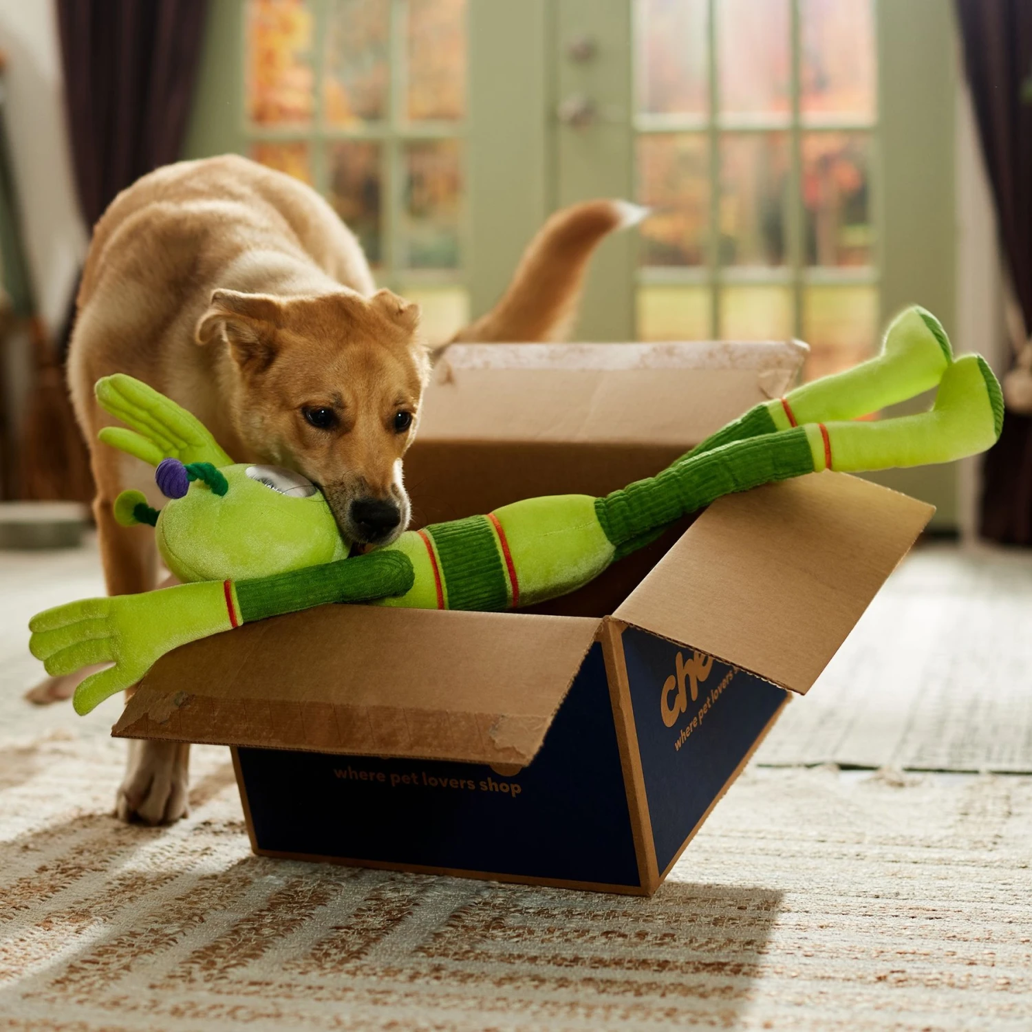 Frisco Halloween Alien Wagazoo Plush Squeaky Dog Toy, Extra Long 6 Frisco Halloween Alien Wagazoo Plush Squeaky Dog Toy, Extra Long - Image 4