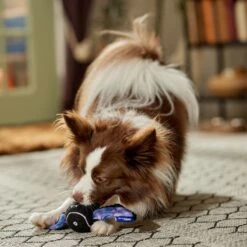 Frisco Halloween Bat Fetch Squeaky Tennis Ball Dog Toy 10 Frisco Halloween Bat Fetch Squeaky Tennis Ball Dog Toy -Frisco 668278 PT3. AC SS1800 V1689350166