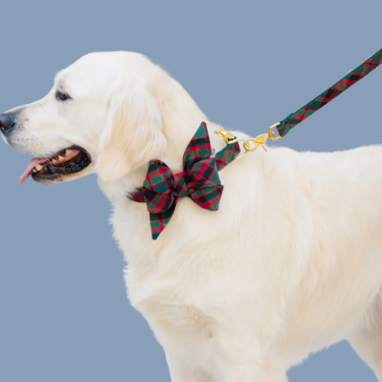 Frisco -Frisco 6c2c702b27ef619440ae6d7247af63aa