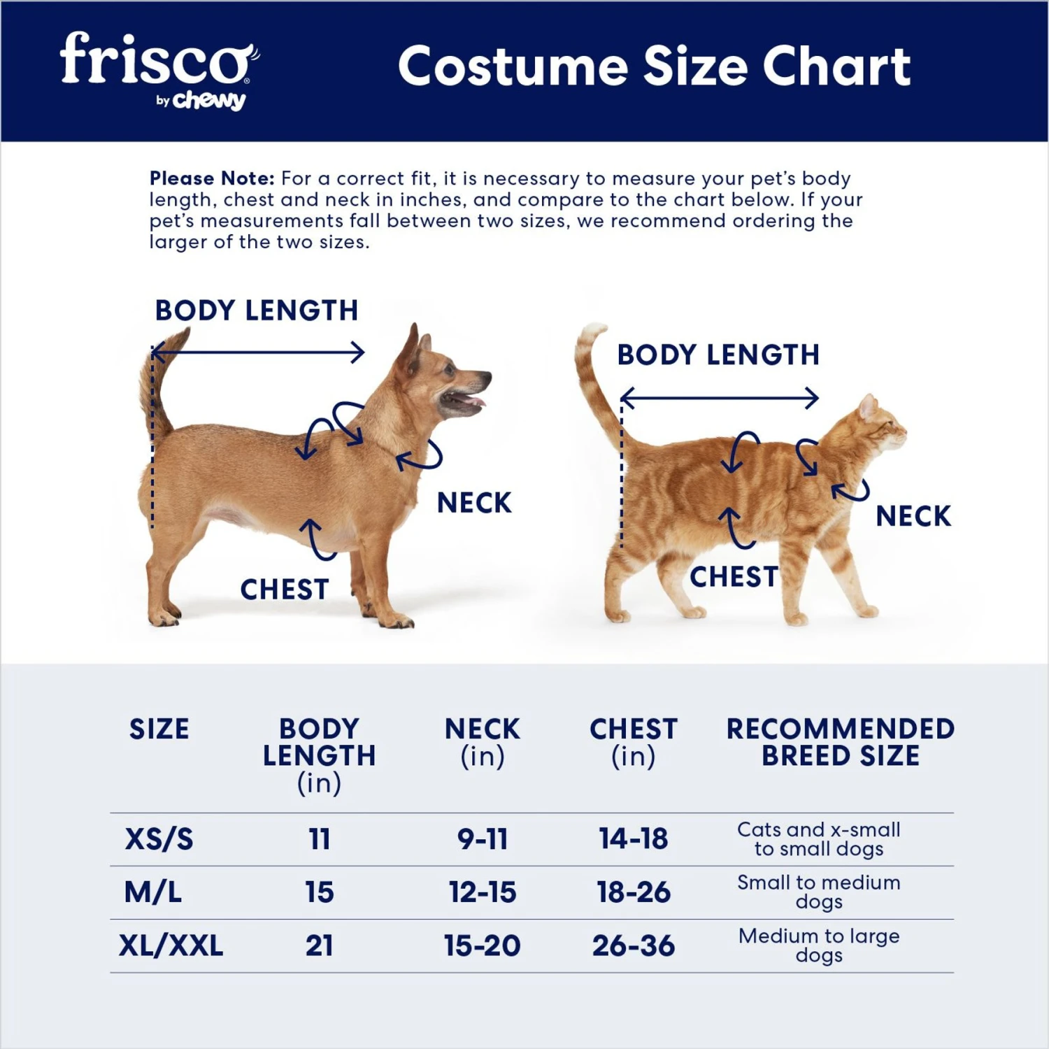Frisco Dragon Dog & Cat Costume Accessory 4 Frisco Dragon Dog & Cat Costume Accessory - Image 2