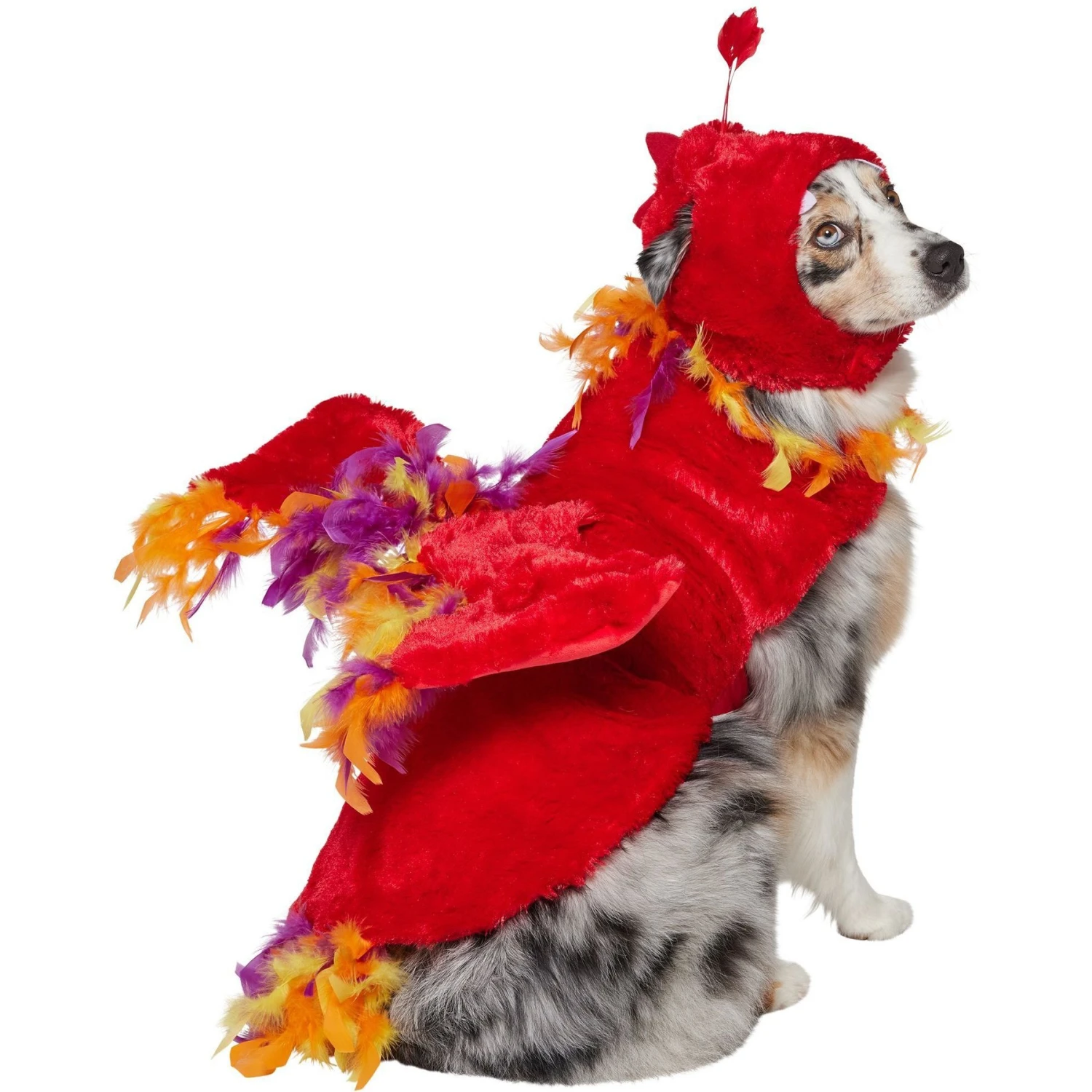 Frisco Flying Phoenix Dog & Cat Costume 3 Frisco Flying Phoenix Dog & Cat Costume