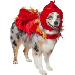 Frisco Flying Phoenix Dog & Cat Costume 12 Frisco Flying Phoenix Dog & Cat Costume -Frisco 708150 PT3. AC SS1800 V1691084928