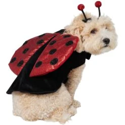 Frisco Glittered Ladybug Dog & Cat Costume 14 Frisco Glittered Ladybug Dog & Cat Costume -Frisco 708254 PT3. AC SS1800 V1689350986