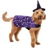 Frisco Cosmic Witch Dog & Cat Costume -Frisco 708982 MAIN. AC SS1800 V1689282565