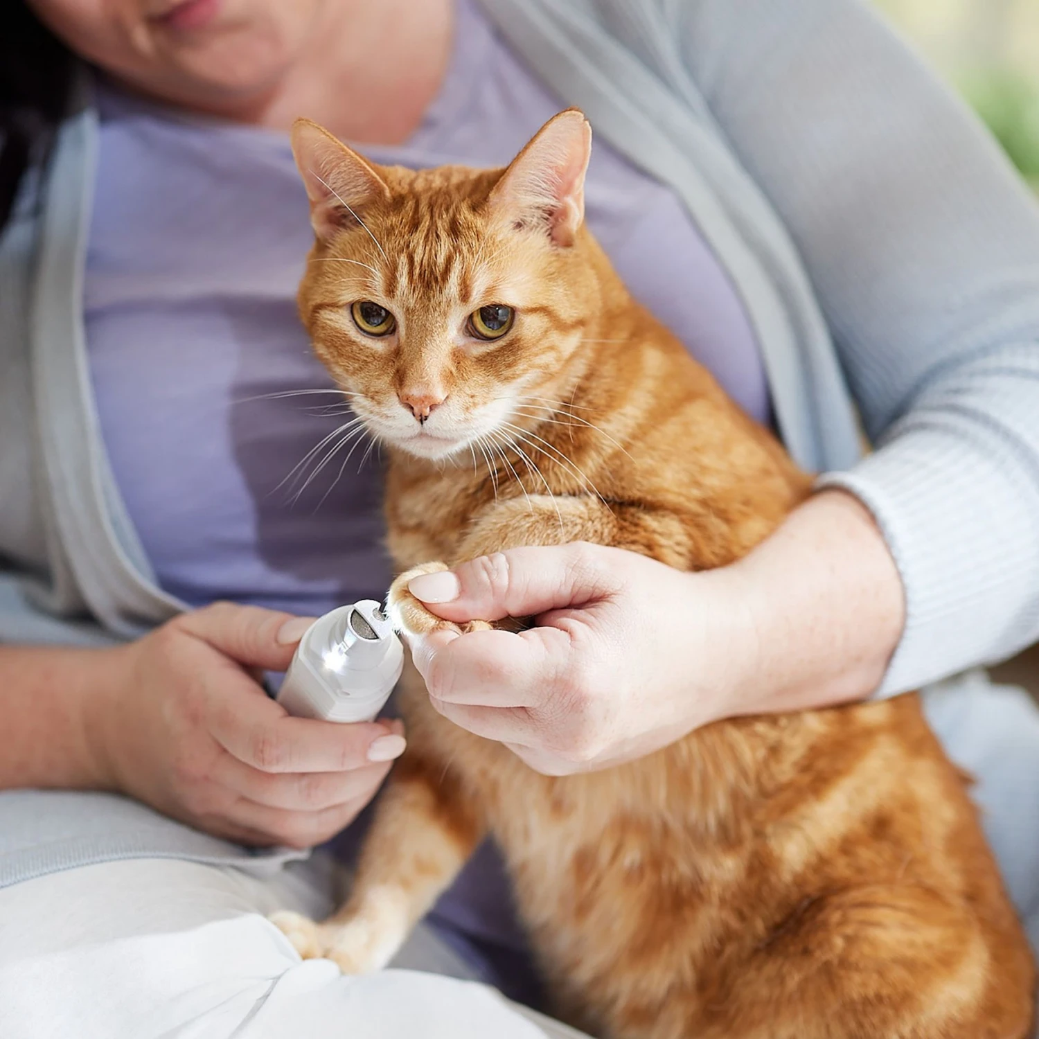 Rechargeable Cordless Cat & Dog 3-Speed Nail Grinder, White 8 Rechargeable Cordless Cat & Dog 3-Speed Nail Grinder, White - Image 6