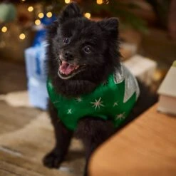 Frisco Ornament Dog & Cat Costume -Frisco 745510 PT7. AC SS1800 V1694795535