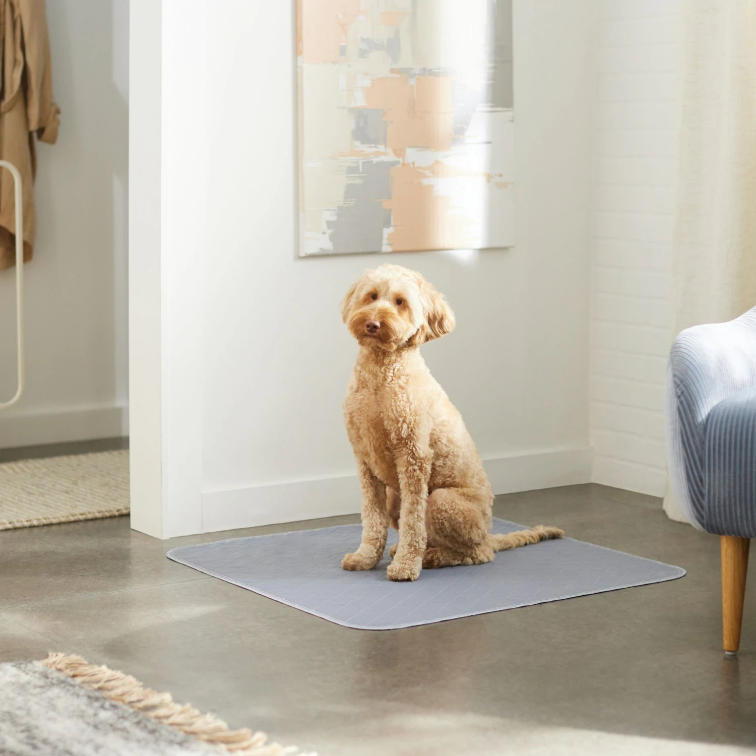 Skout's Honor Dog Pee Pad Refresher Spray, 28-oz Bottle & Frisco Washable Dog Potty Pads 11 Skout's Honor Dog Pee Pad Refresher Spray, 28-oz Bottle & Frisco Washable Dog Potty Pads - Image 9