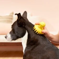 Buddy Wash Relaxing Green Tea & Bergamot Dog Shampoo & Conditioner & Frisco Rubber Duckie Dog & Cat Curry Brush -Frisco 826422 PT7. AC SS1800 V1681332439