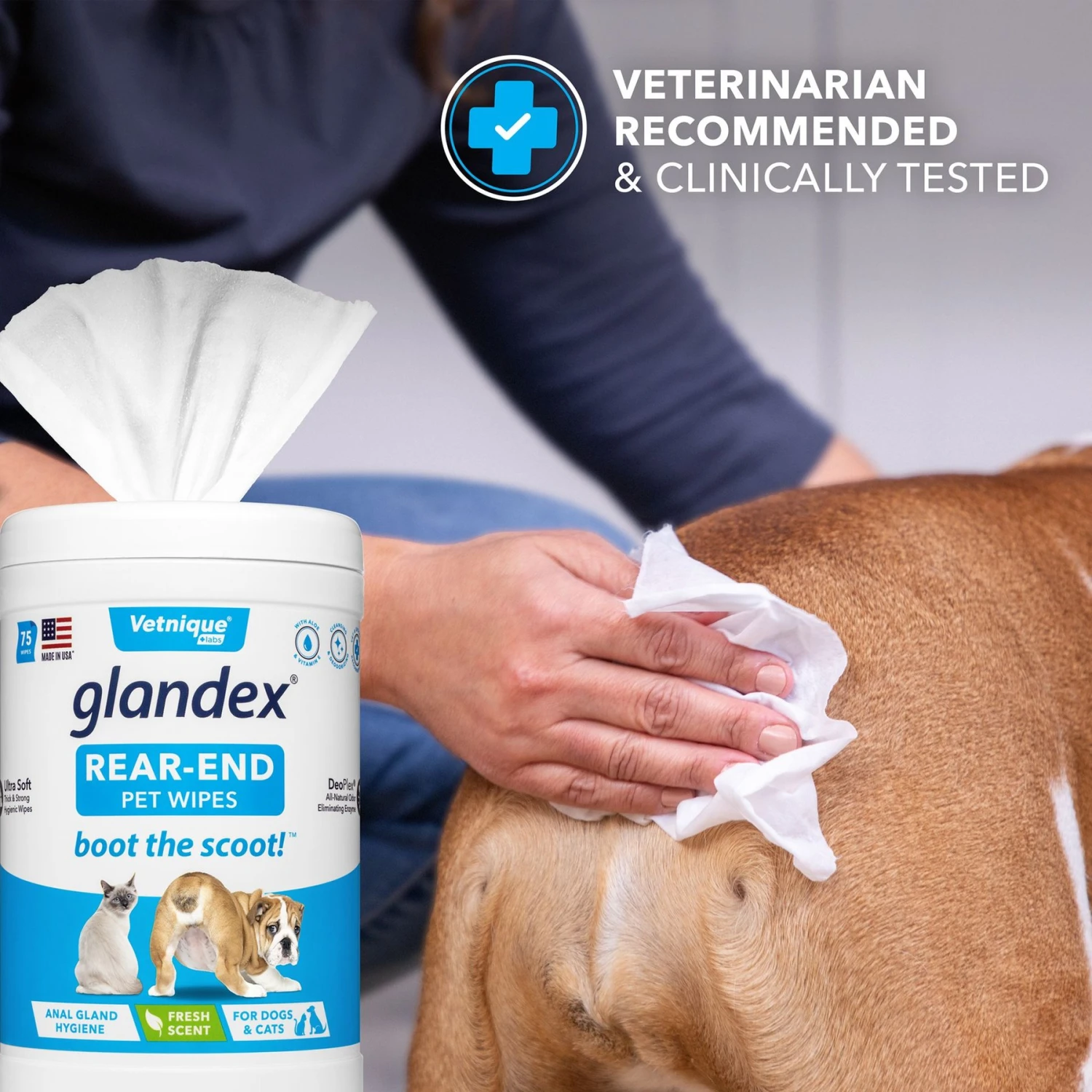 Vetnique Labs Glandex Wipes Rear End Anal Gland Cleansing & Deodorizing Hygienic Rear End Boot The Scoot Dog & Cat Wipes & Frisco Disposable Male Dog Wraps 7 Vetnique Labs Glandex Wipes Rear End Anal Gland Cleansing & Deodorizing Hygienic Rear End Boot The Scoot Dog & Cat Wipes & Frisco Disposable Male Dog Wraps - Image 5