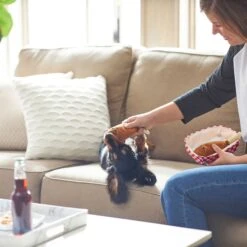 Frisco Corndog Interactive Plush Squeaky Dog Toy & Frisco Guacamole Hide & Seek Puzzle Plush Squeaky Dog Toy 14 Frisco Corndog Interactive Plush Squeaky Dog Toy & Frisco Guacamole Hide & Seek Puzzle Plush Squeaky Dog Toy -Frisco 962086 PT3. AC SS1800 V1694782979