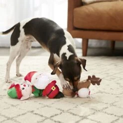 Frisco Holiday Santa's Helpers Plush Squeaky Dog Toy, 3 Count & Frisco Holiday Tree Thin Plush Squeaky Dog Toy -Frisco 986222 PT4. AC SS1800 V1698258463