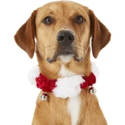 Frisco Holiday Dog & Cat Santa Hat, 1 Count & Frisco Jingle Bells Dog & Cat Holiday Collar With Bells, 1 Count 18 Frisco Holiday Dog & Cat Santa Hat, 1 Count & Frisco Jingle Bells Dog & Cat Holiday Collar With Bells, 1 Count -Frisco 986254 PT7. AC SS1800 V1698258115