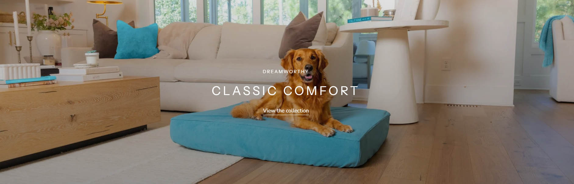 Frisco -Frisco fghfghrt