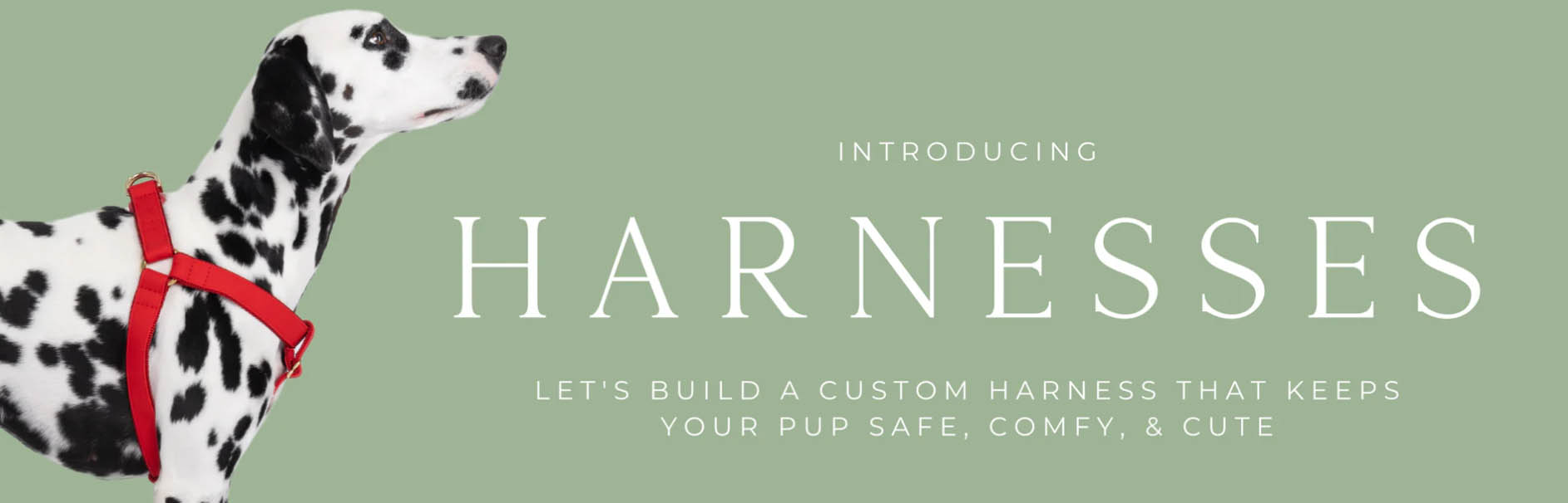 Frisco -Frisco fhfgh